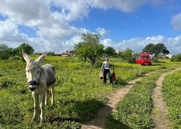 Luxuszelt Rent A Blue Classics' S Campervan For Your Road Trip In -volkswagen T3 *