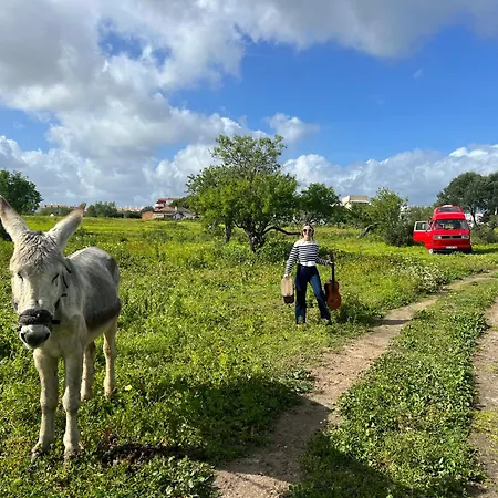 خيمة فخمة Rent A Blue Classics' S Campervan For Your Road Trip In -volkswagen T3 *