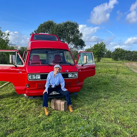 Rent A Blue Classics' S Campervan For Your Road Trip In -volkswagen T3 럭셔리텐트 포티마오